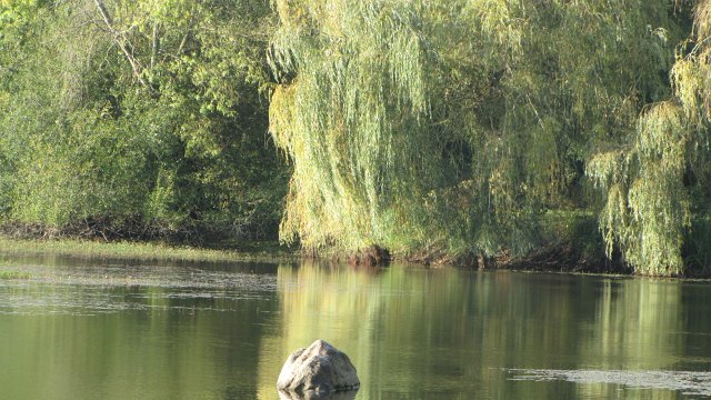 Rochefort sur loire (100)